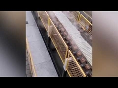 सूखी प्रक्रिया सोडियम सिलिकेट भट्ठी / ठोस सोडियम सिलिकेट बनाने की मशीन